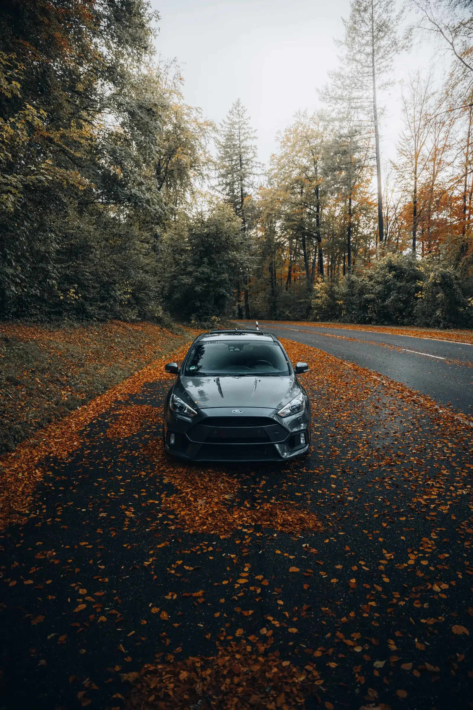 Ford Focus RS auf einer Straße voller Herbstlaub — Automobilfotografie Maurice Veith