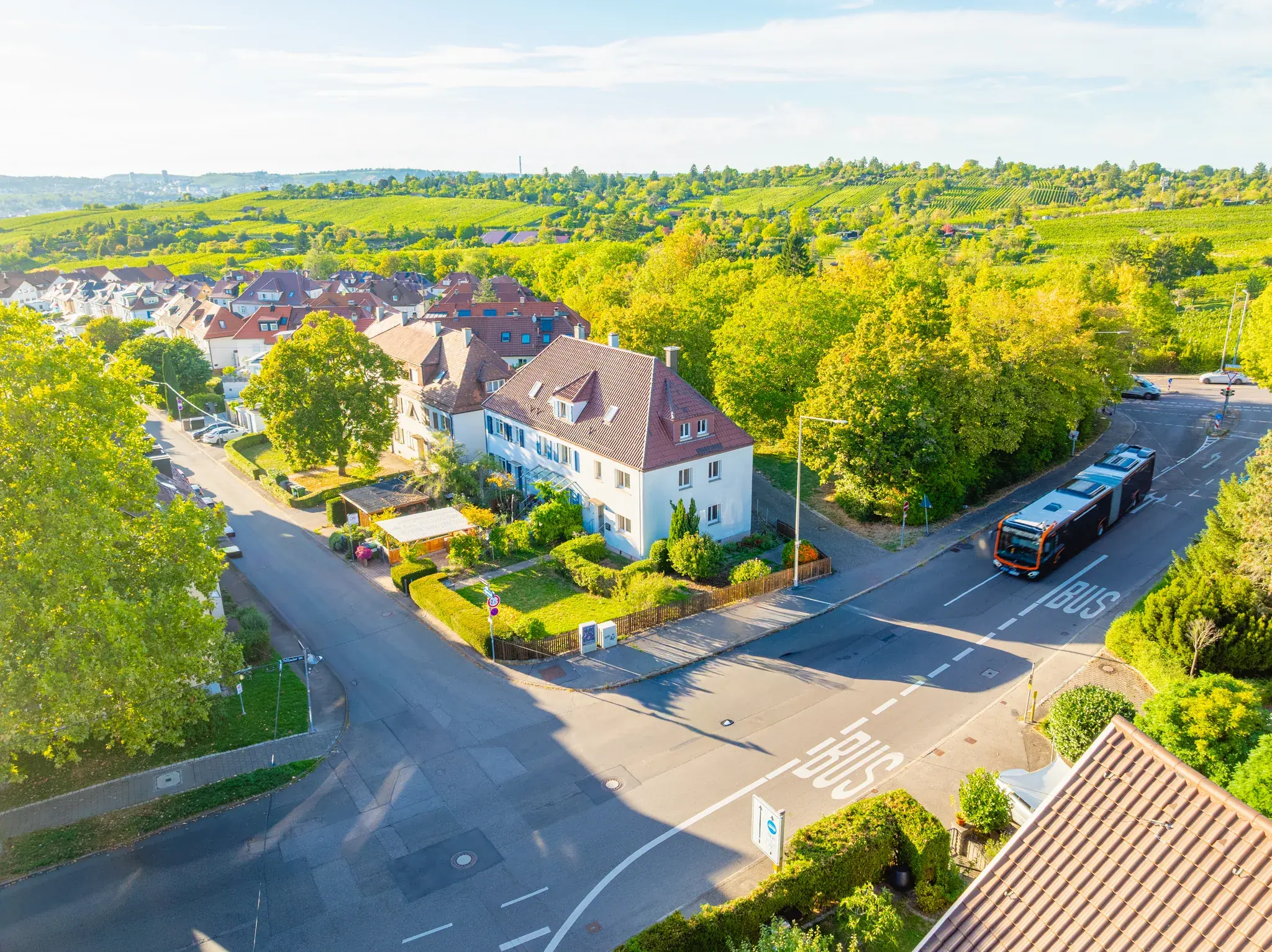 Luftbild: Straßenzug und Weinberge im Abendlicht – Stuttgart-Luginsland
